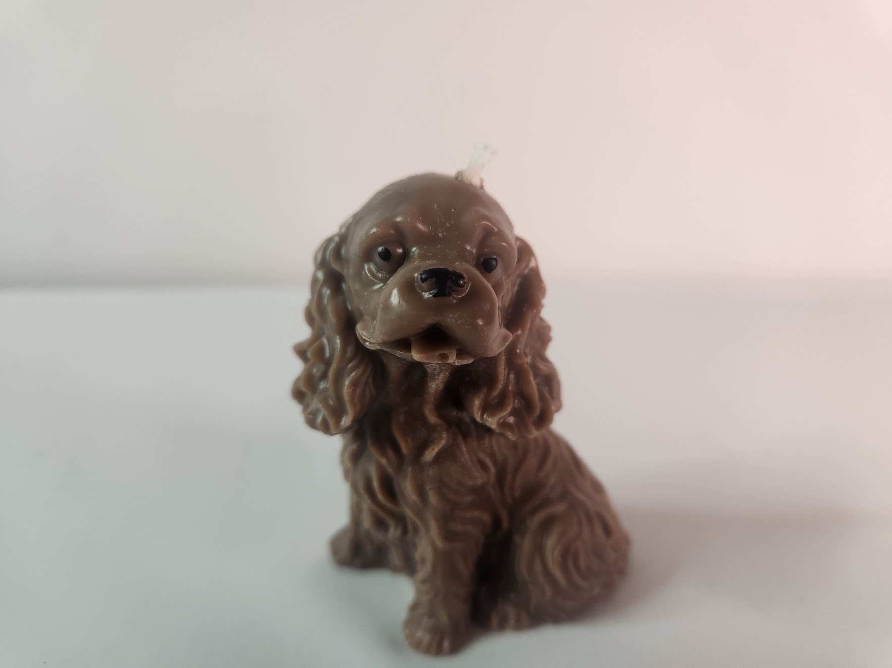 Bougie cocker Bougie chien cocker