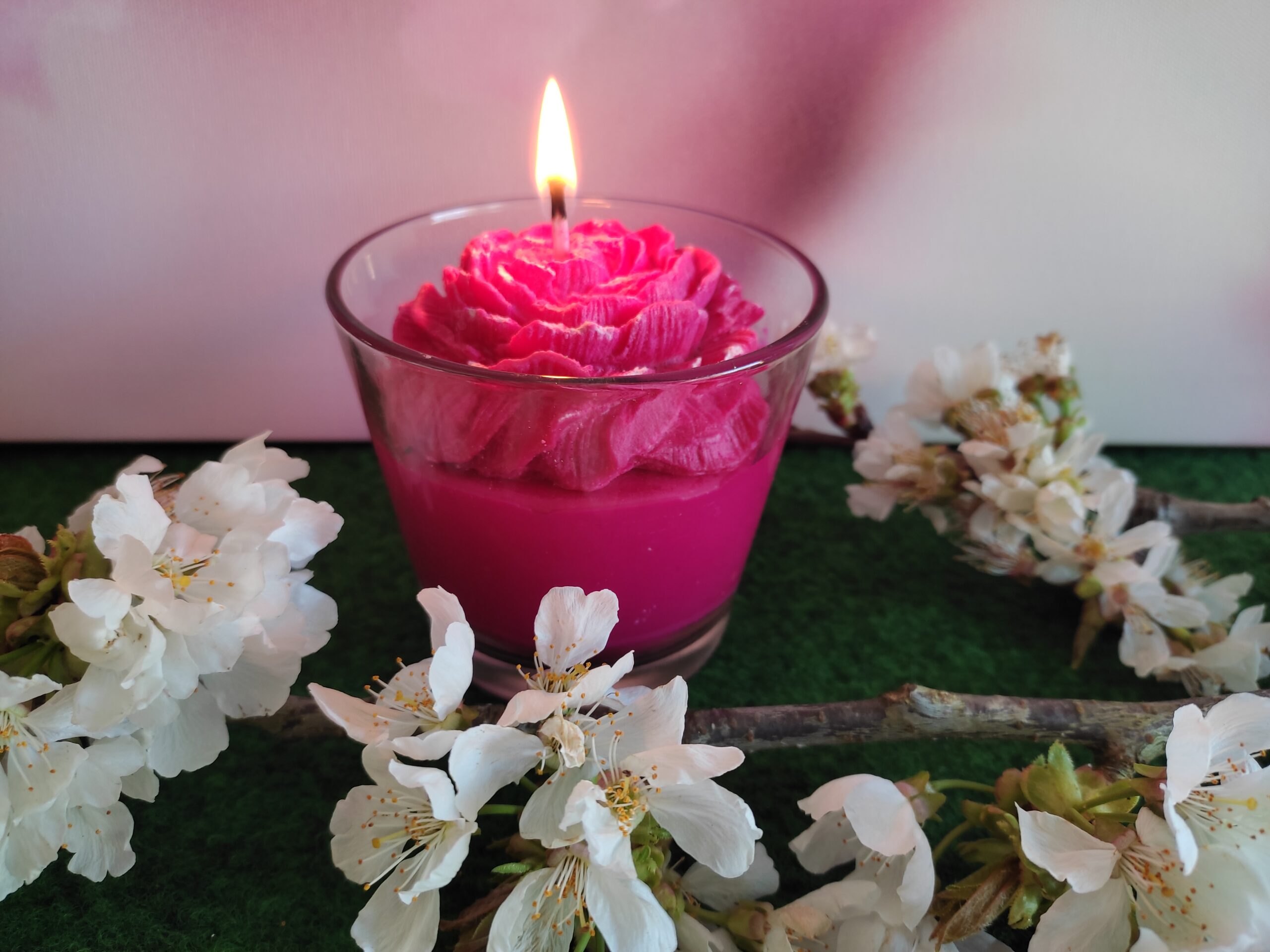 Bougie-fleur-de-camelia-fushia-dans-sa-verrine-scaled