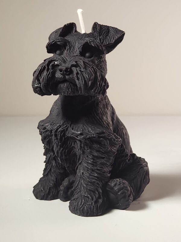 Bougie chien terrier écossais