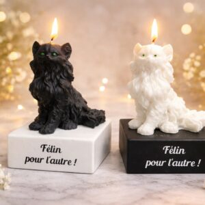 Deux bougies originales en forme de chats, l’une noire et l’autre blanche, allumées sur des socles assortis avec l’inscription « Félin pour l’autre », sur un fond décoratif lumineux et chaleureux