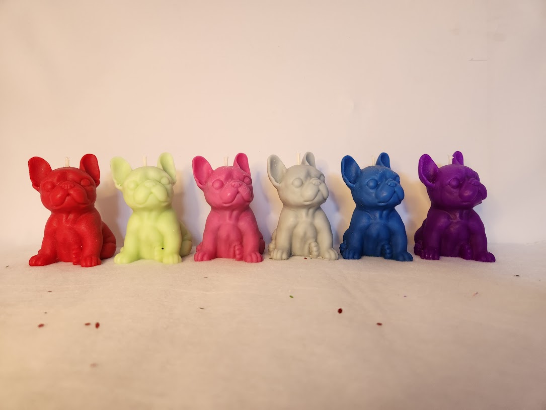 Bougies petit Carlin colorées