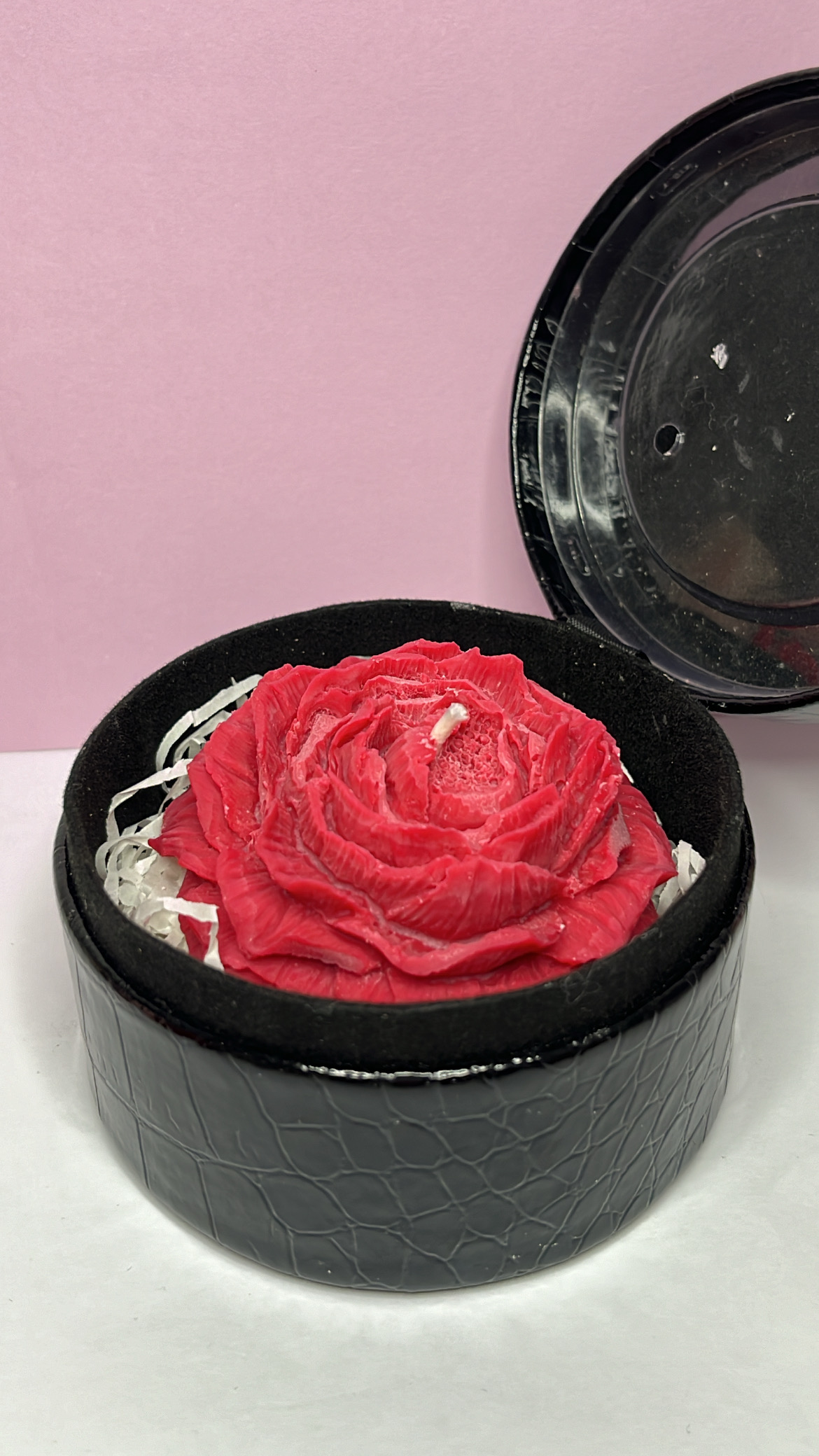 Camélia rouge dans boîte