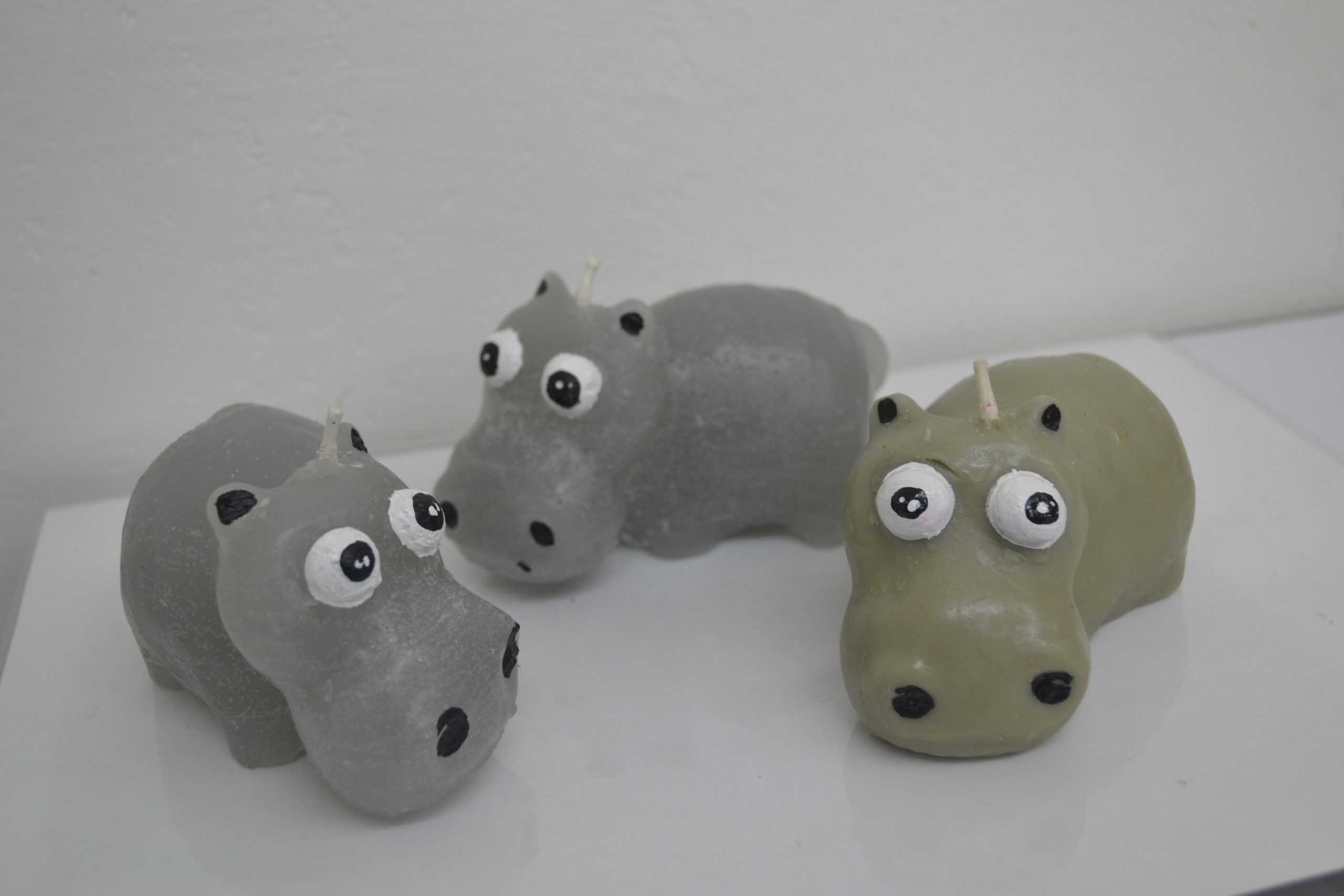 Bougies Animaux