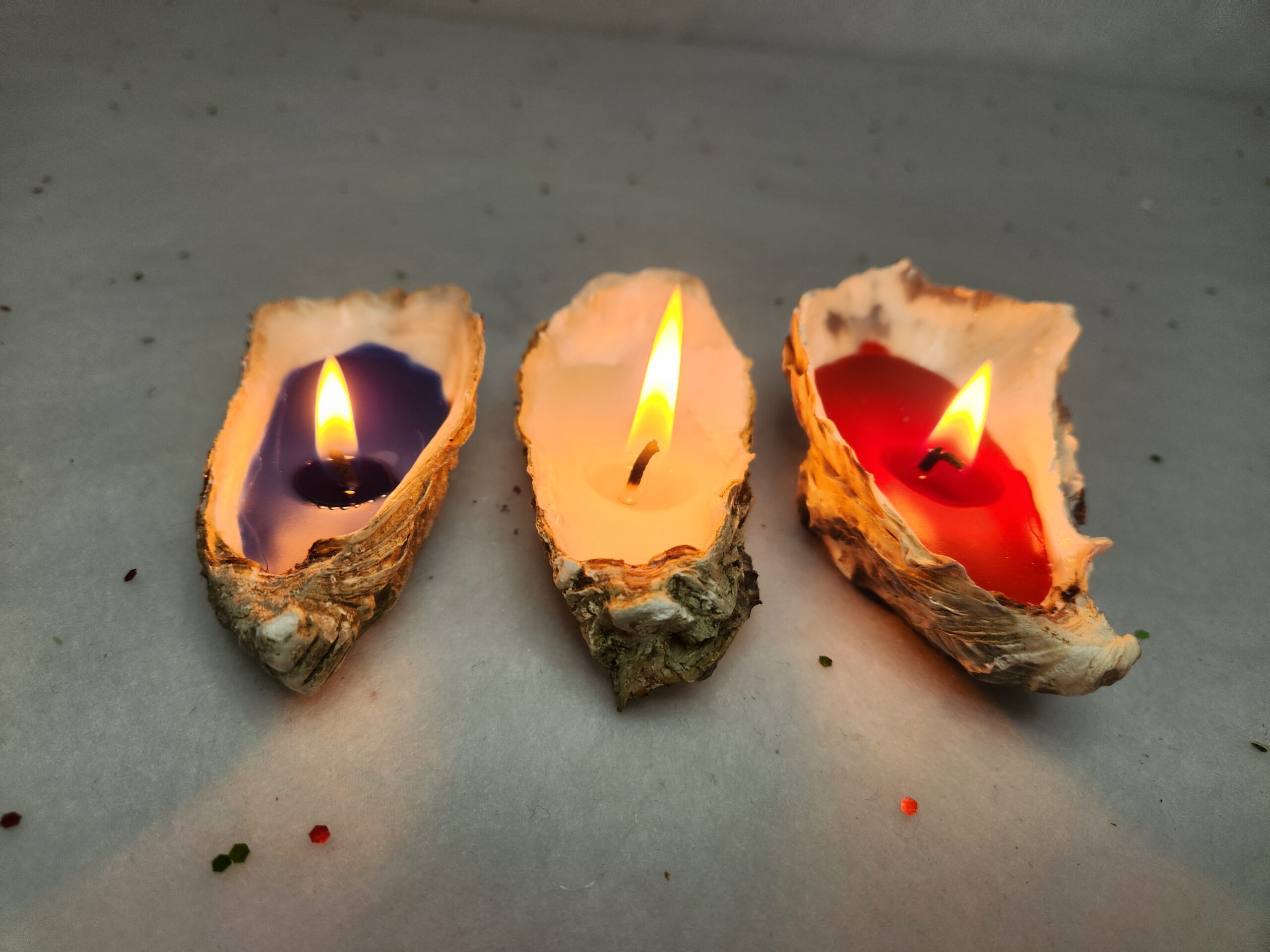 Huitres Tricolore (1)