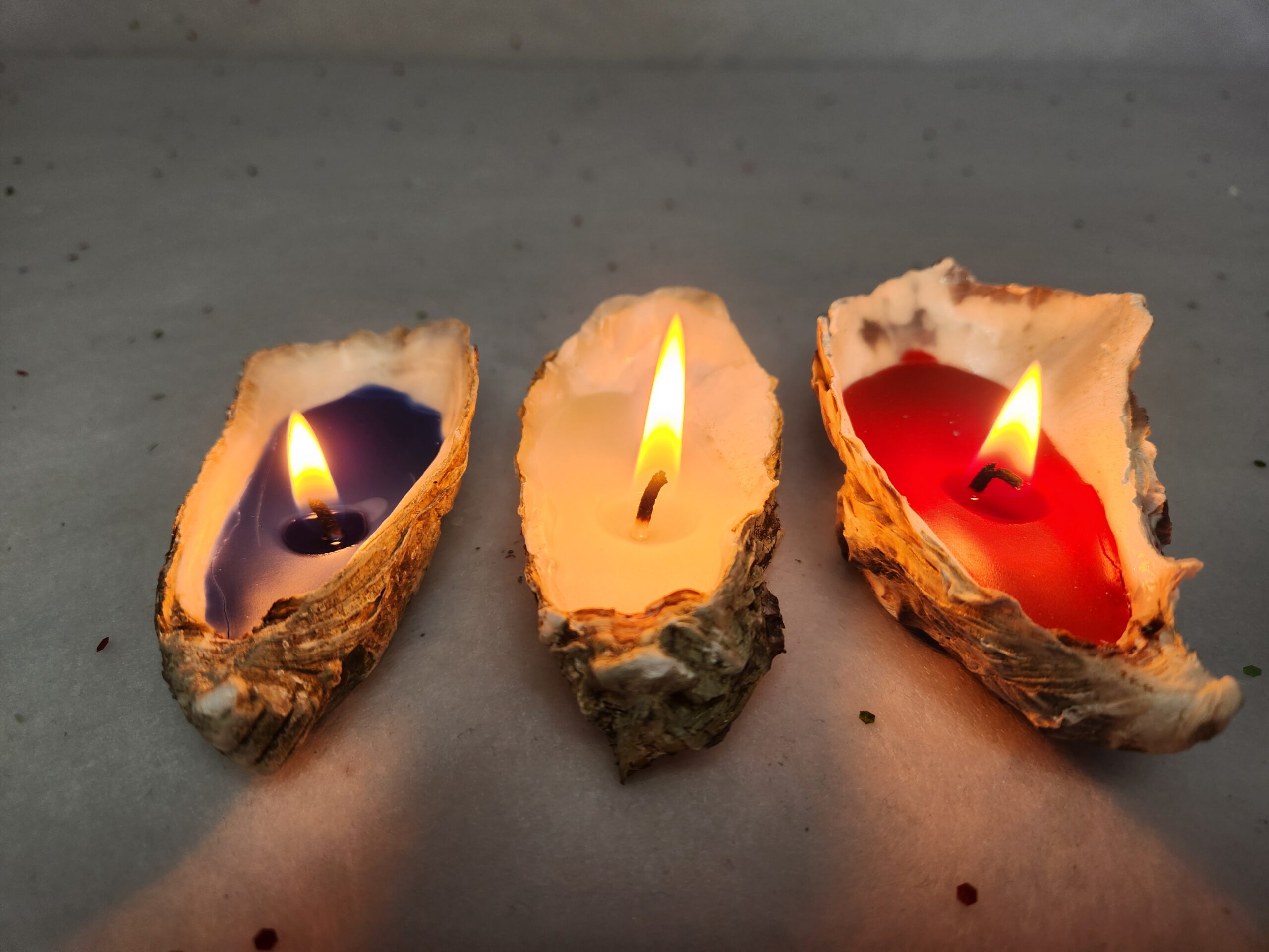 Huitres Tricolore (4)