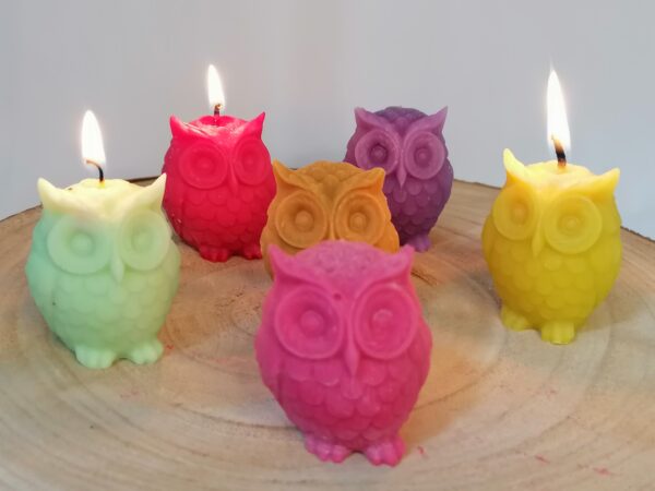 Bougies petites chouettes colorées x 6