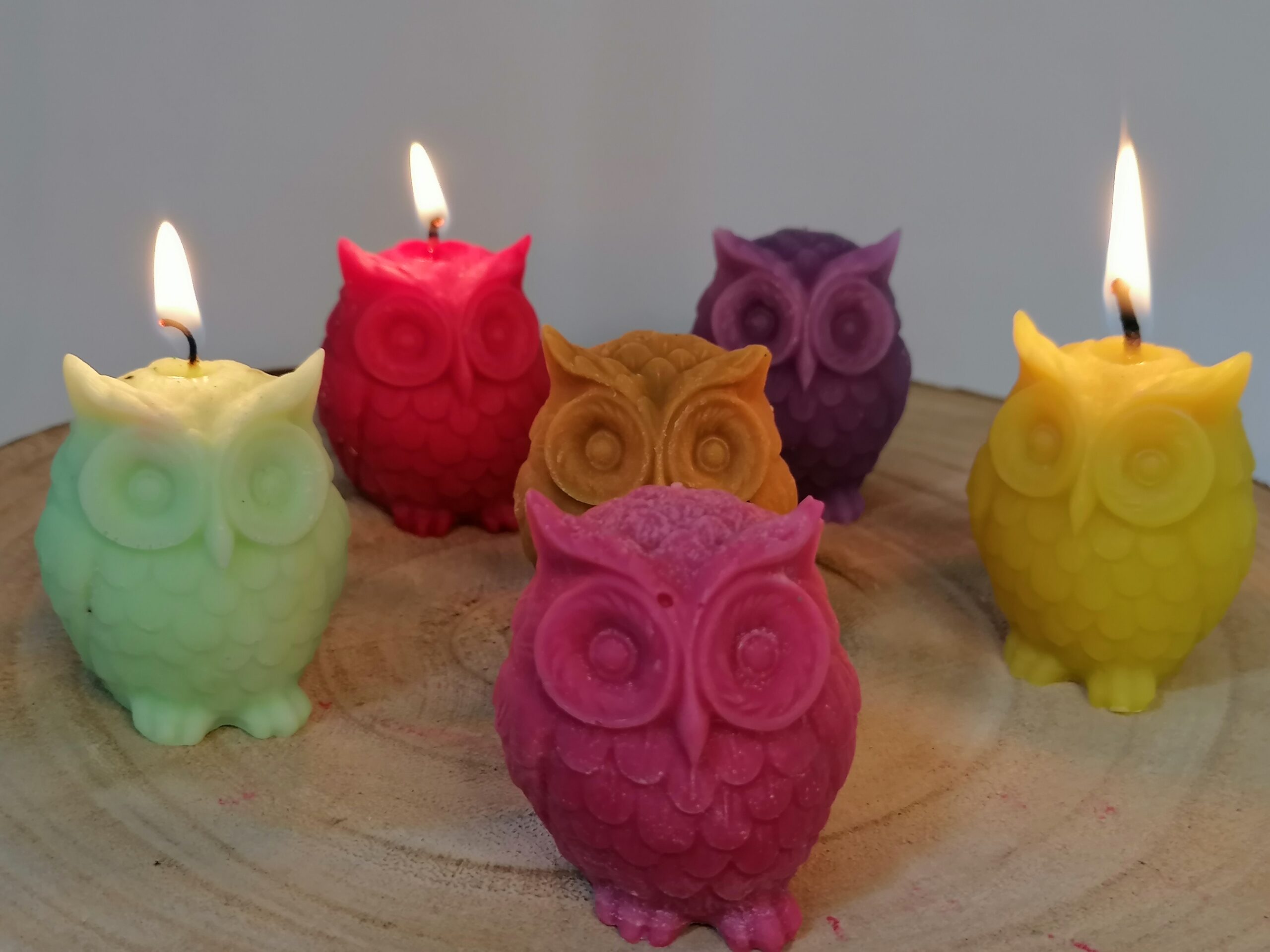 Bougies chouette x 6 Bougies petites chouettes colorées