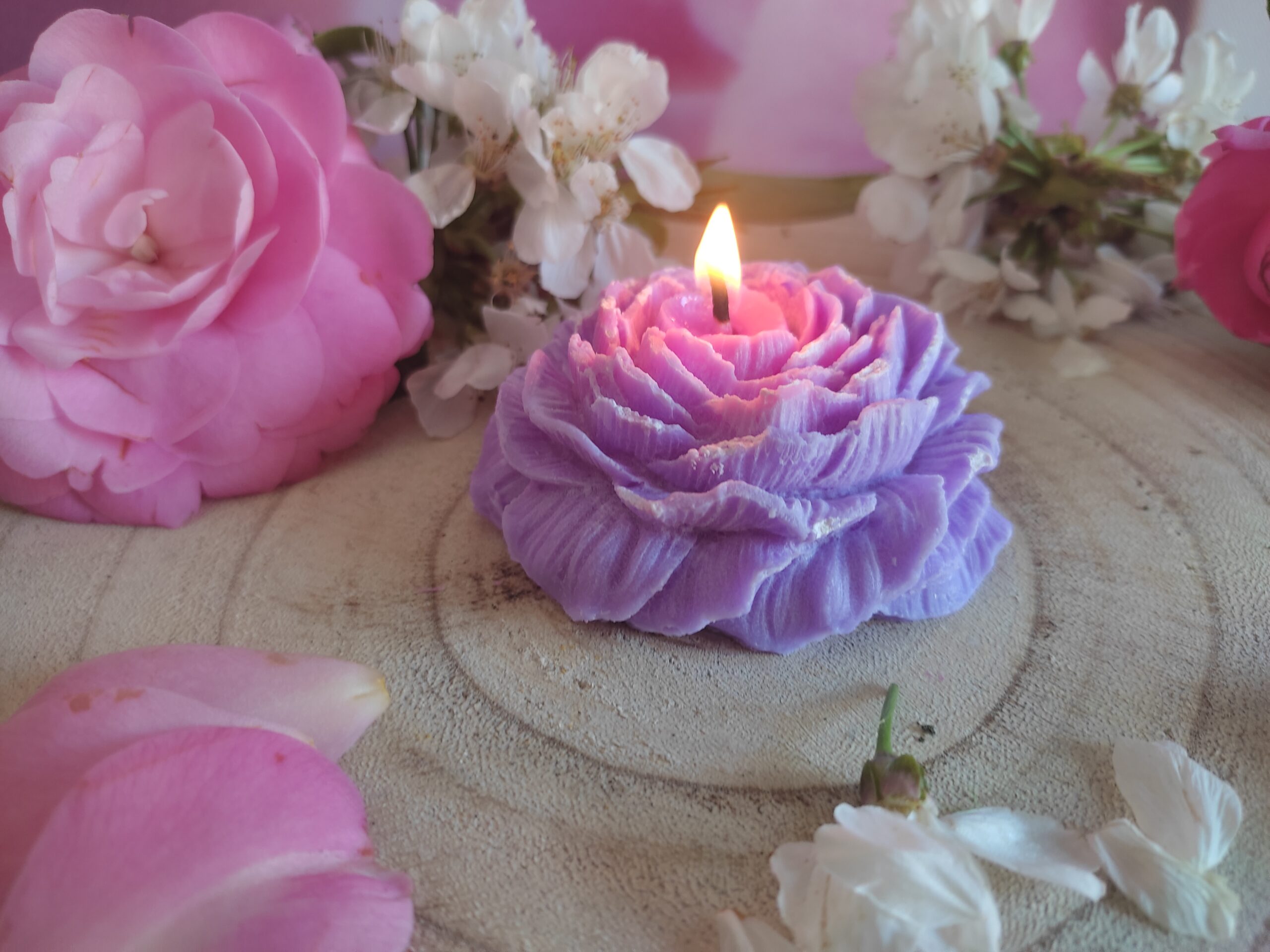 bougie-camelia-mauve-sur-bois-scaled