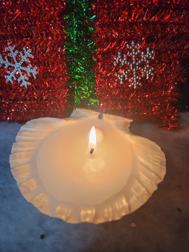 bougie coquille saint jacques bougie dans une coquille saint jacques