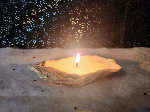 bougie dans une coquille d'huitre
