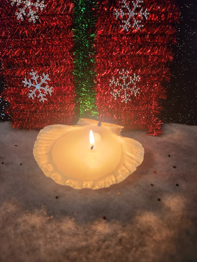 bougie dans une véritable coquille saint jacques bougie dans une coquille saint jacques