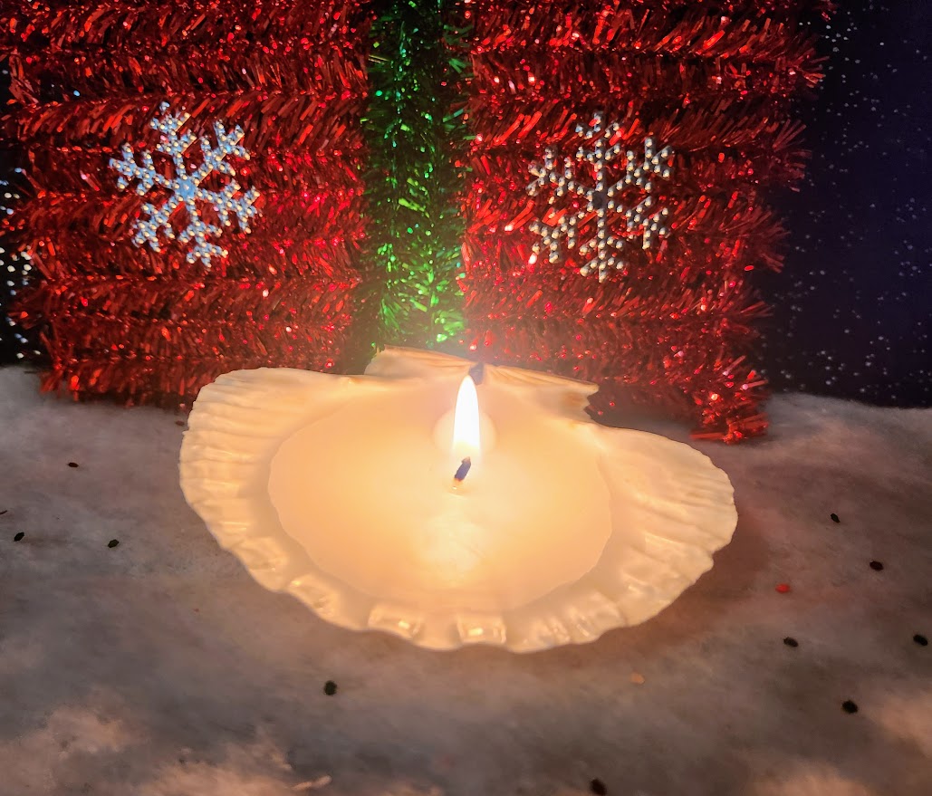 bougie décorative coquille saint jacques made in france cire végétale bougie coquille saint jacques