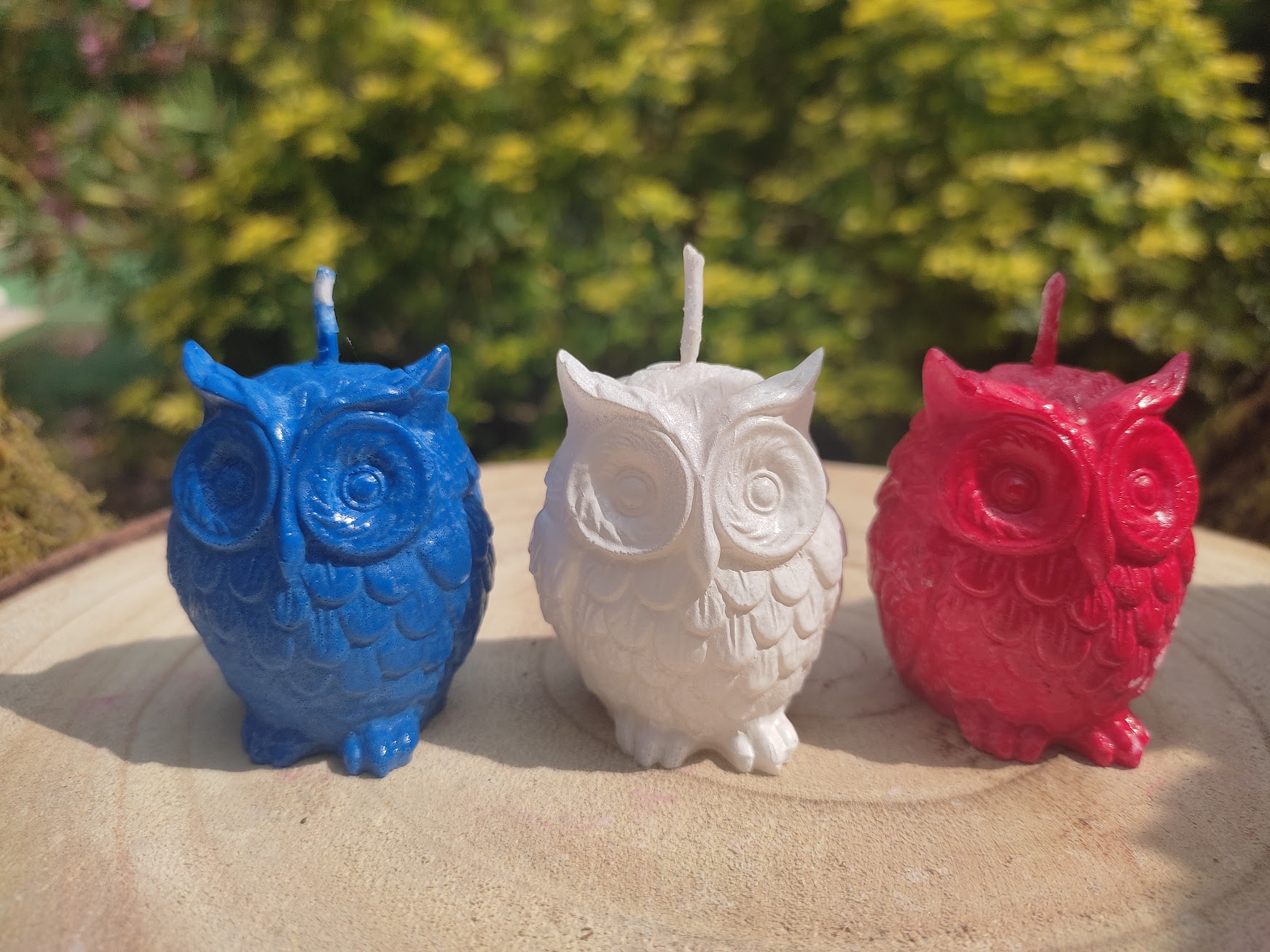 Bougies chouettes bleu blanc rouge
